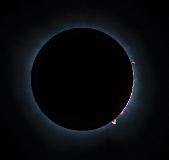 Magenta solar prominences during the total solar eclipse