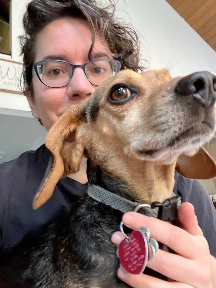 a beagle-looking dog in brown and black sits on a white person's lap. The person's hand is on the dog's chest and the dog's head partly hides their face