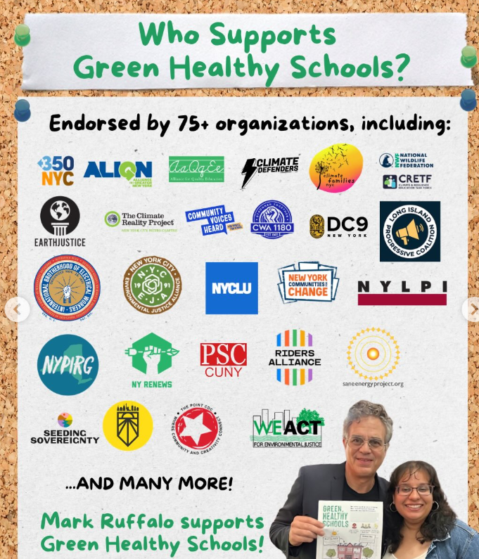 Revenue ideas for green healthy schools in NYC (special edition!)