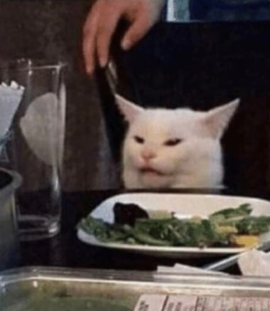 naughty cat in restaurant from the meme