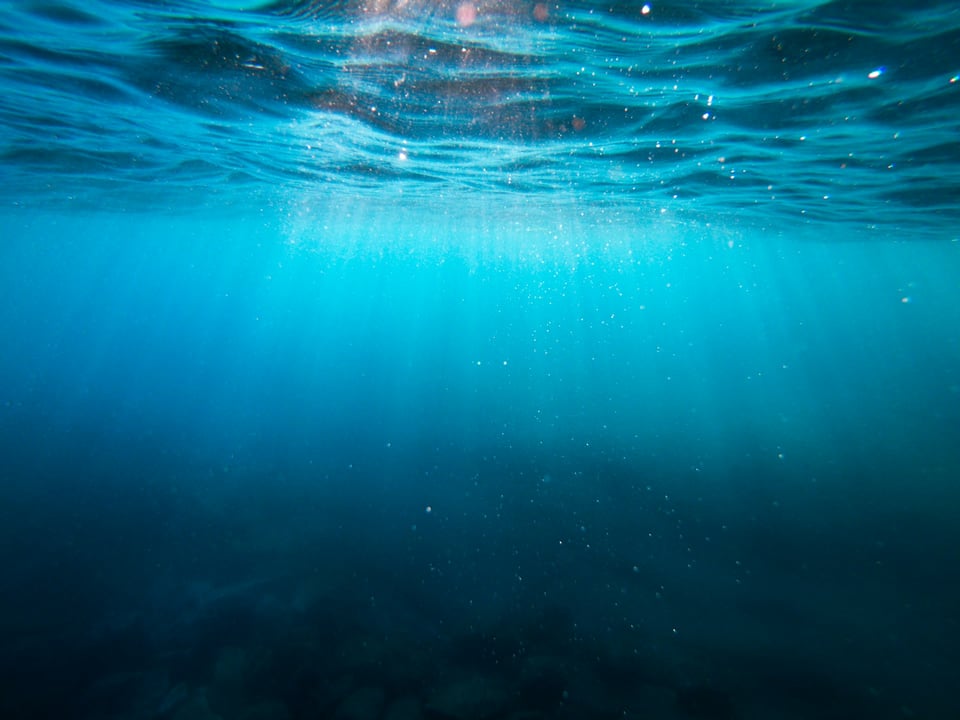 Looking up at the water's surface, from below. Photo by Cristian Palmer on Unsplash.