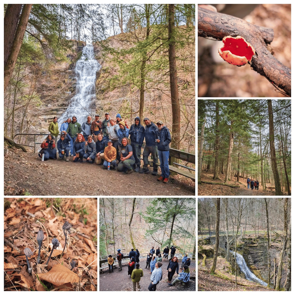 A few photos from our last hike at Pratt's Falls