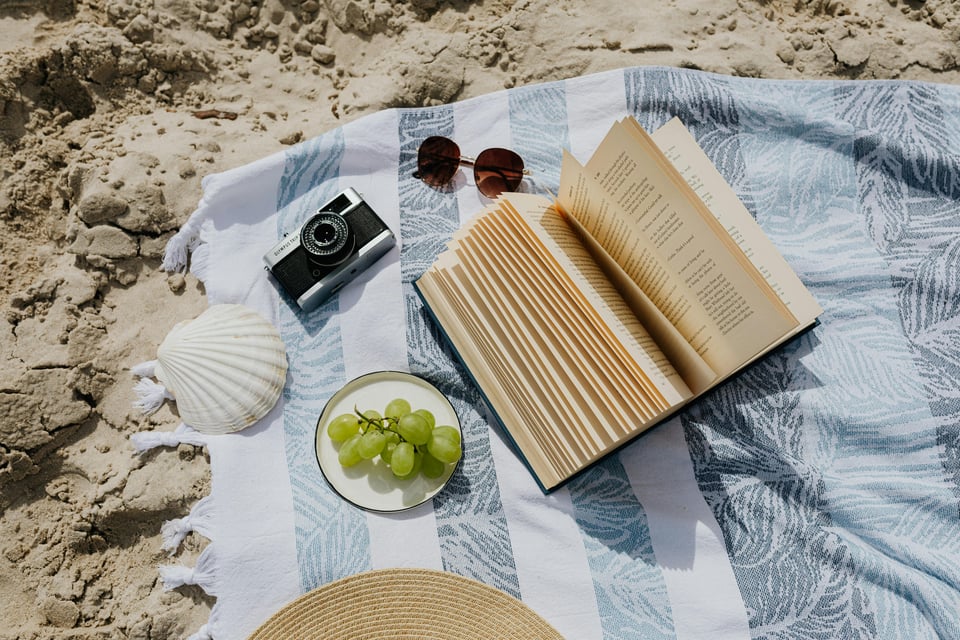 Image depicts an open book, a plate of grapes, a camera, sunglasses, and a seashell resting on top of a blanket on top of a sandy beach.