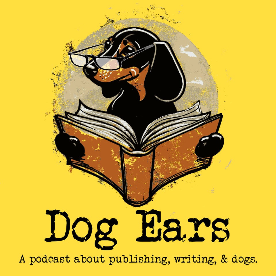 a dachshund reading a book with glasses on his snout