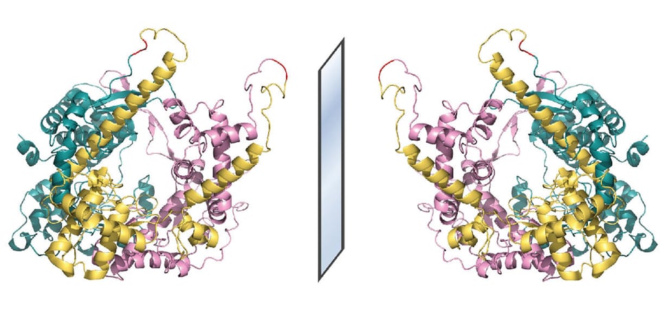 Biological molecules and their mirror image