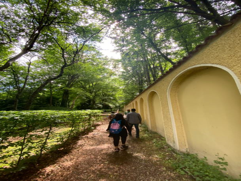 three women and one man walk down a path dappled by sunlight, lined by bushes on the left with a light yellow wall on the right. Trees are all around.