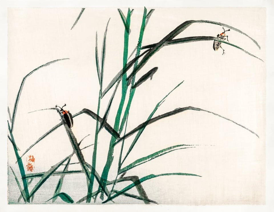 A painting by Kono Bairei of beetles on blades of grass.