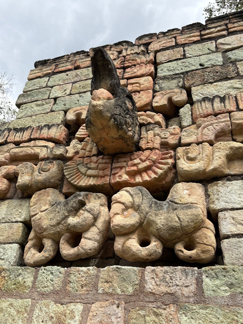 Close up of a different macaw head with a stone sculpture of its claws below