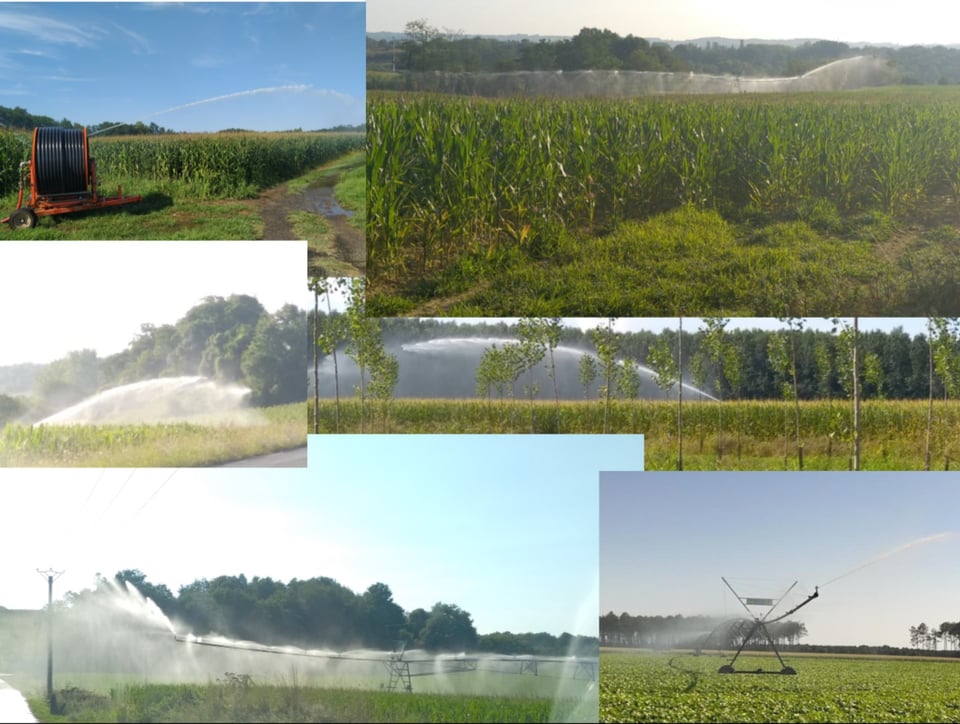 Omniprésence des arrosages en plein jour et en plaine chaleur dans les plaines du Sud Ouest alors que les débits des rivières sont très bas.