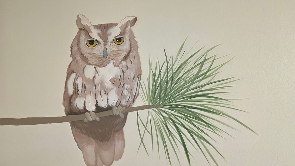 Good Morning. Hello. How are you? #1688