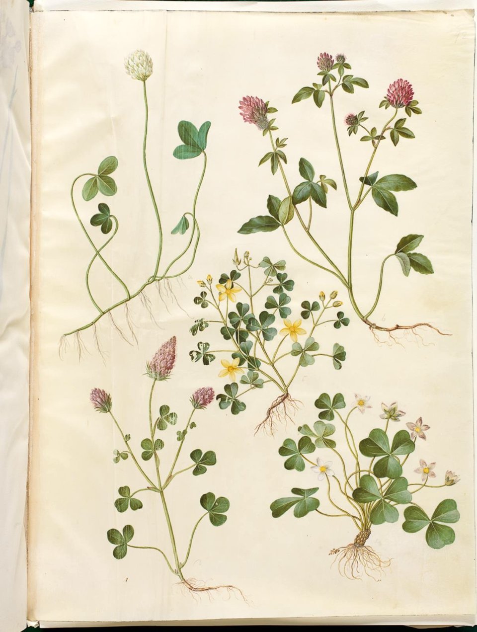 You used to recommend...