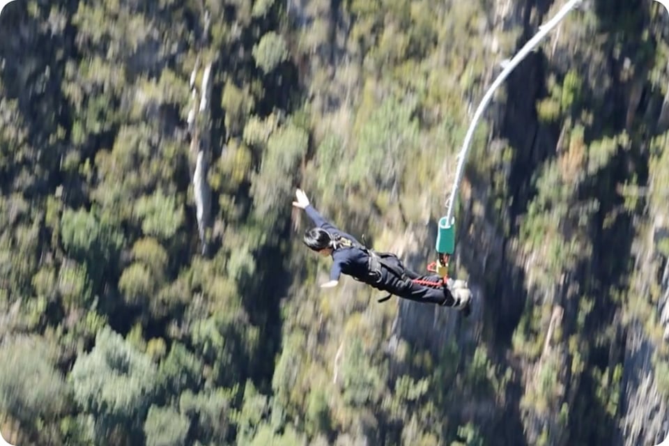 bungee jumping over trees