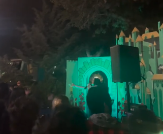 An obscured image of the musician SASAMI performing.