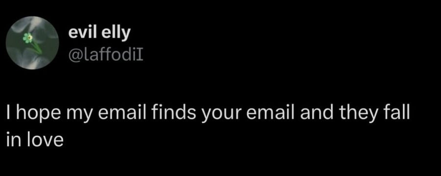 Twitter screenshot. @laffodiI
I hope my email finds your email and they fall in love