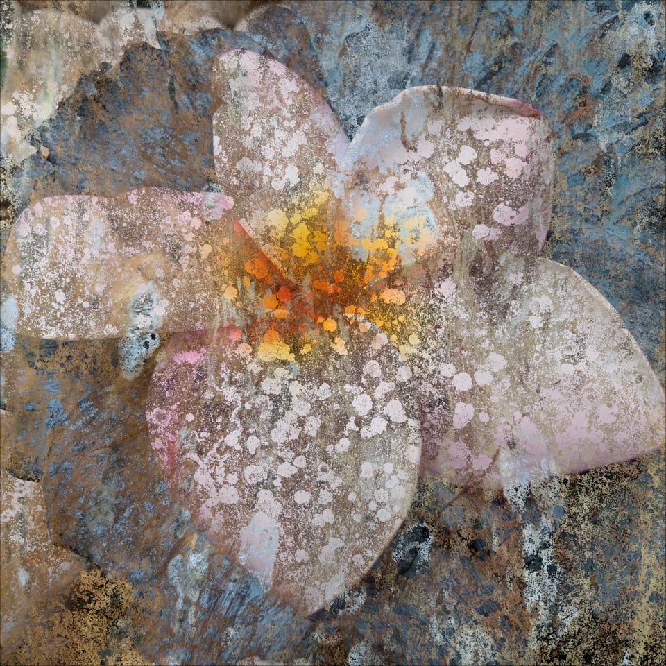 A highly textured image that seems to reveal a flower with 5 petals with some red/yellow at the center and sorrounded by bluish tones.