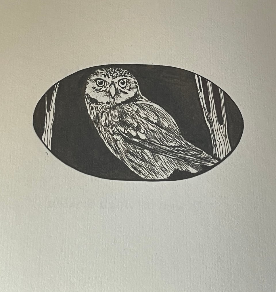 on a cream coloured background a black oval, with a woodcut of a tawny owl on a branch.