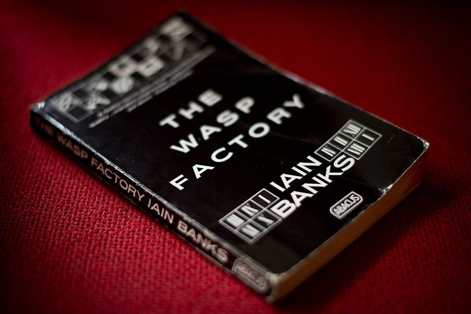 a black cover symbols of dying wasps and other esoterica, it's Iain Bank's the wasp factory