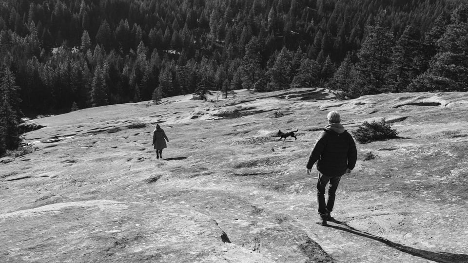 running down a mountain, wild and alive