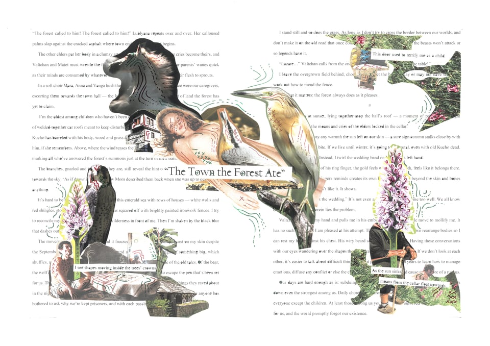 A collage of images over the text of the story. The images are of people, plants, and animals, cut together so that they seem to be transforming and melting together. The title, "The Town the Forest Ate" is in the center.