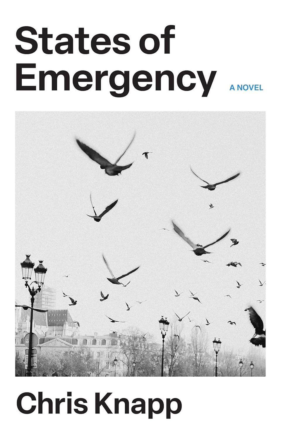 Thick white border with black sans serif text, title at top and author name at bottom, in-between a black and white photo of pigeons flying above a Parisian landscape of buildings and lamp posts