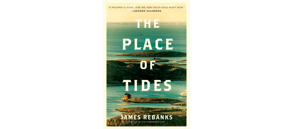 book cover for The Place of Tides