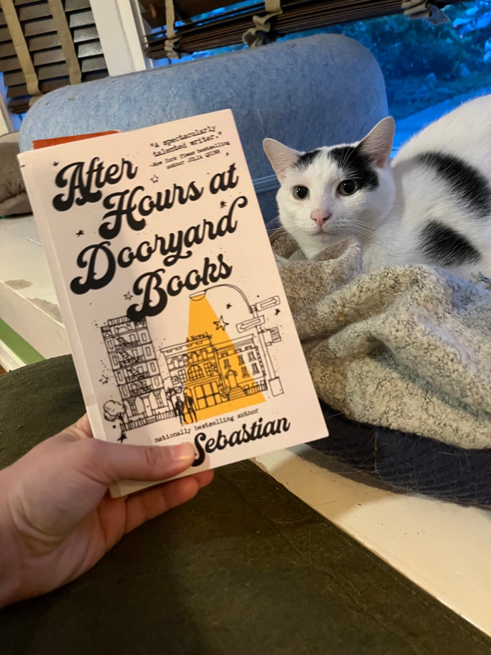 A white person's hand holds a paperback copy of After Hours at Dooryard Books by Cat Sebastian, next to a white cat with black spots sitting on a blanket in a cat bed.