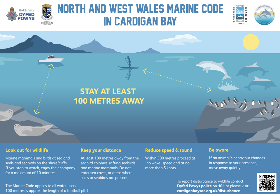 Illustration in English saying "Stay at least 100 metres away" with pictures of boats, paddleboards, seals, dolphins and Guillemots.