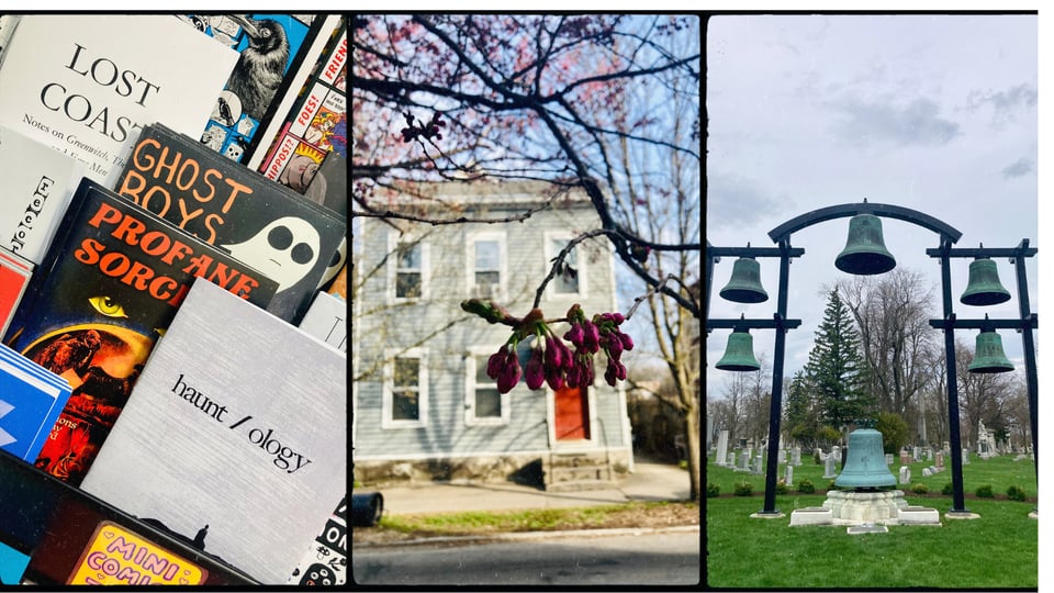 photo grid with three pictures. L-R: a bookstore shelf with several items in view, including print copies of Lost Coast, haunt/ology, and Profane Sorcery; close view of a tree branch with pink buds; a structure with six large bells.