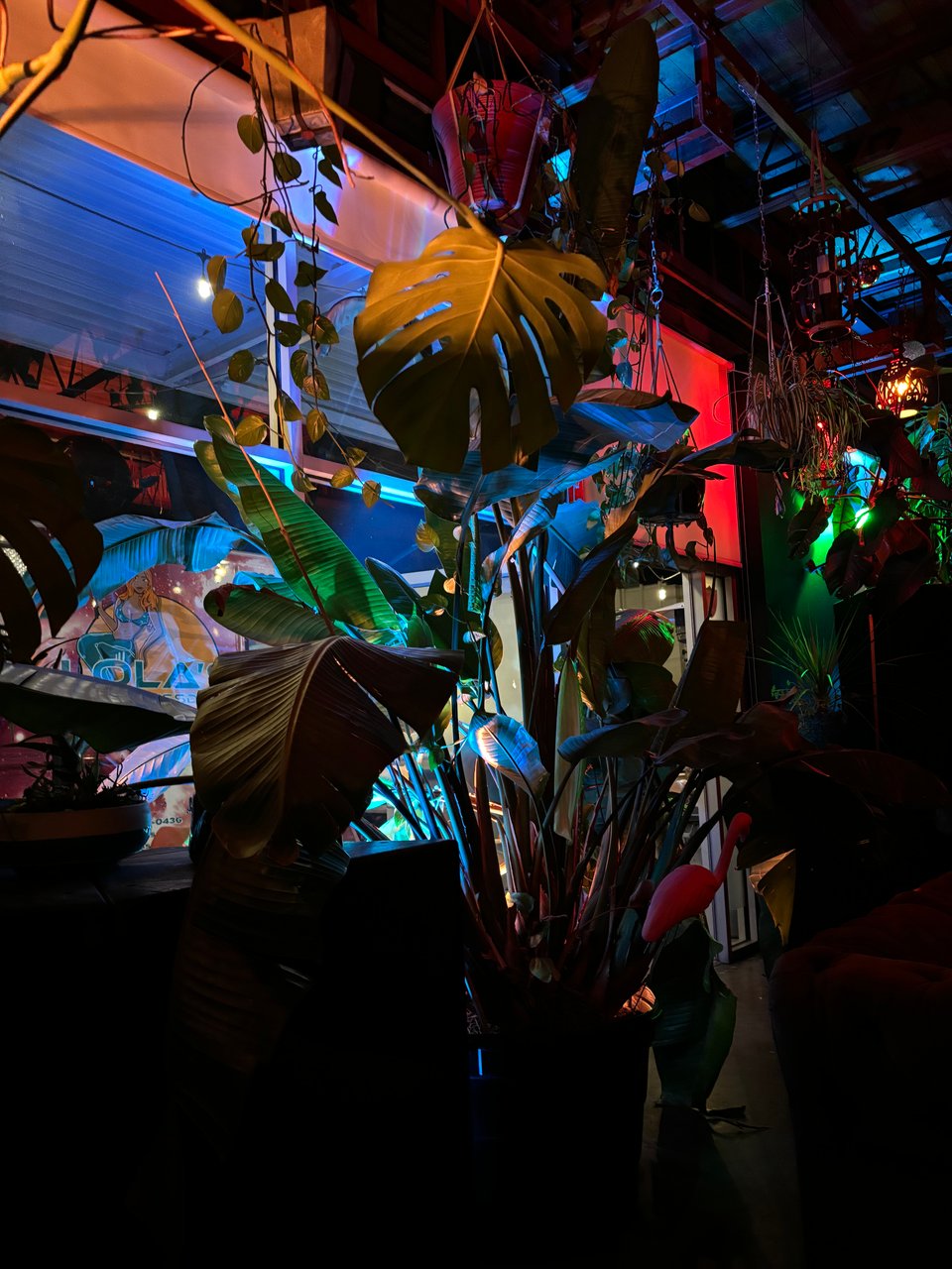 Moon Memo: Just Listening