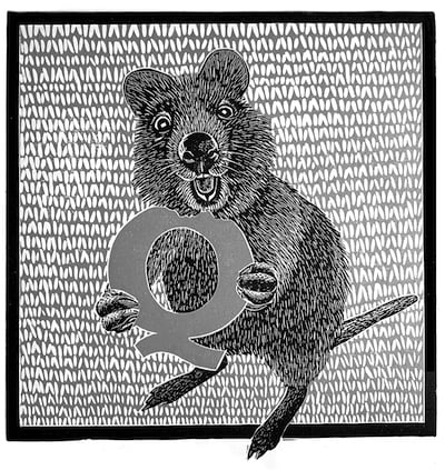 Hand drawn image of a Quokka - a small Australian animal - holding the letter Q with the top nibbled off, against a textured background.