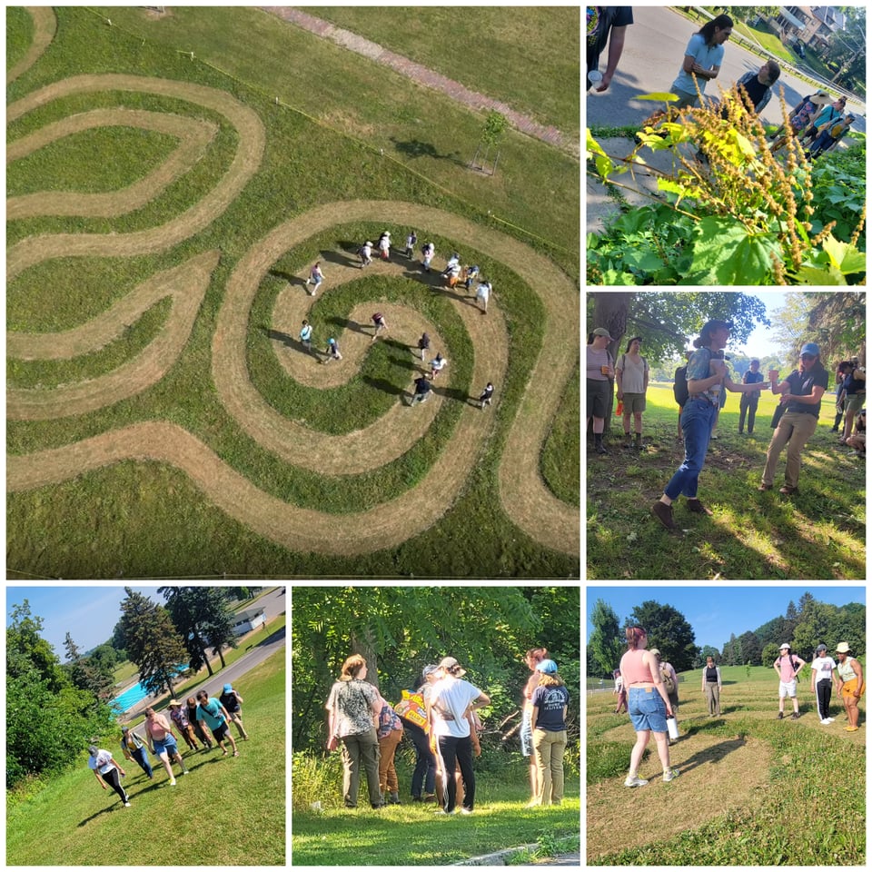 Some photos from the Nature ID hike at Thornden Park
