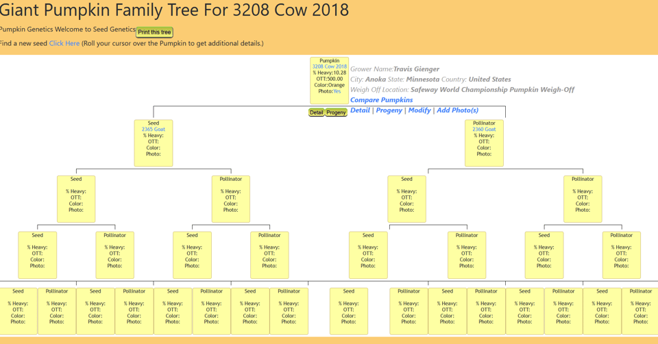 A screenshot of a “giant pumpkin family tree for 3208 Cow 2018". It shows a family tree of yellow boxes showing all the different pumpkins that have descended from“3208 Cow 2018”. There are 16 great grandchildren of the original pumpkin