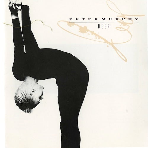 A black and white photo of Peter Murphy, a white man with short blond hair in a black leotard, bending at the waist until his head is upside down and facing his crotch. His arms are extended straight up behind him, hands clasped, on the same vertical plane as his head. This is on a blank white background.