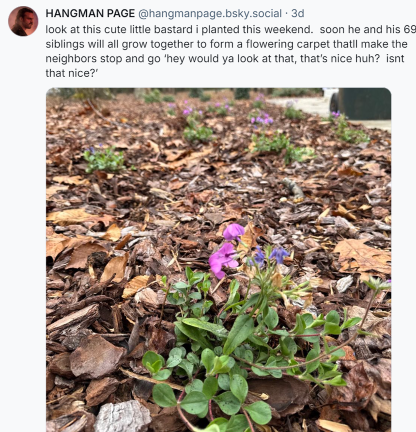 A skeet from All Elite Wrestling's Hangman Adam Page that shows a photo of one of his plants he's growing along with the comment look at this cute little bastard i planted this weekend. soon he and his 69 siblings will all grow together to form a flowering carpet thatll make the neighbors stop and go ‘hey would ya look at that, that’s nice huh? isnt that nice?’