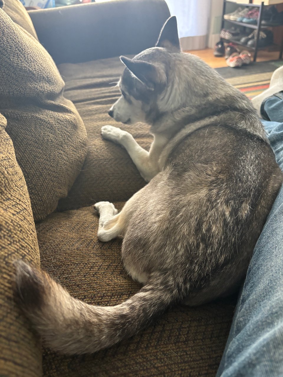 "Design" is too damn big, and my most-cited 