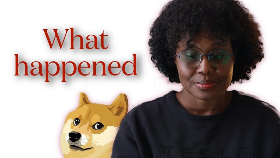 the dog, the look, the title.