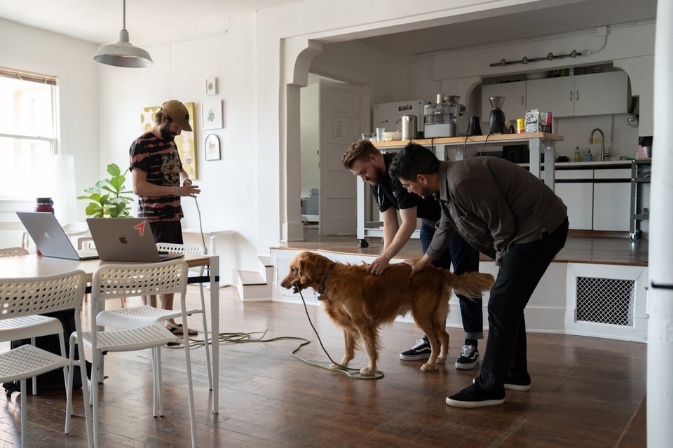 Two people with a lot in common petting a dog.