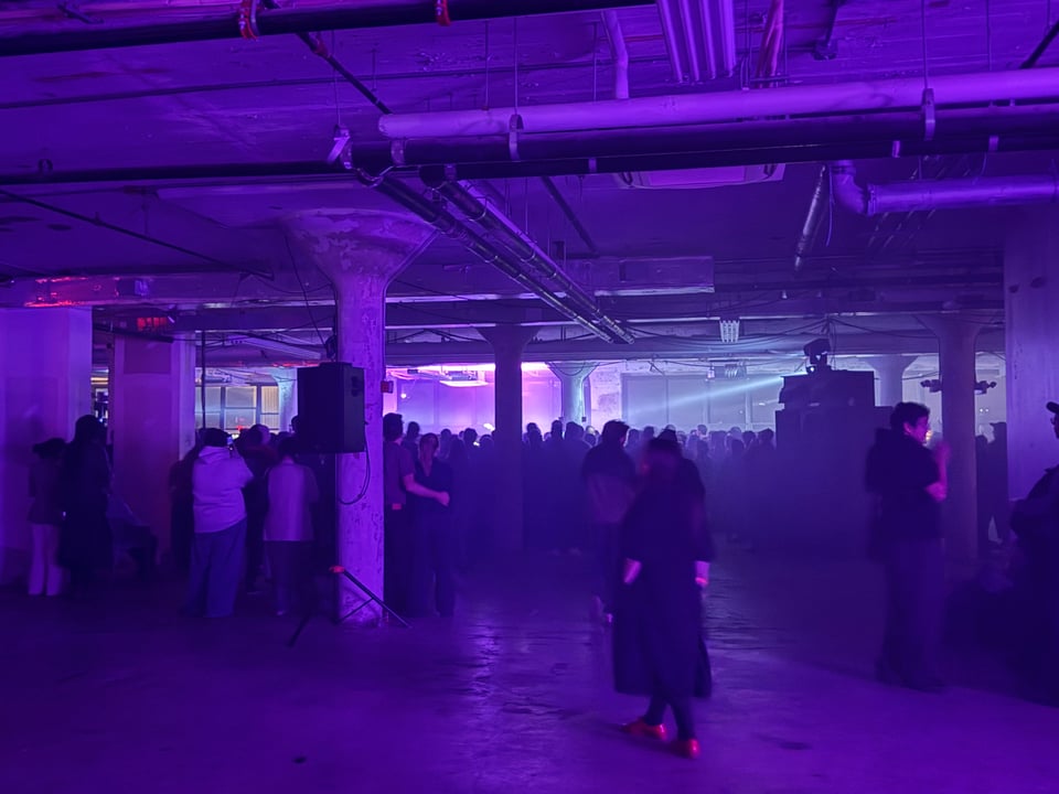 The crowd watching AEAEA perform.