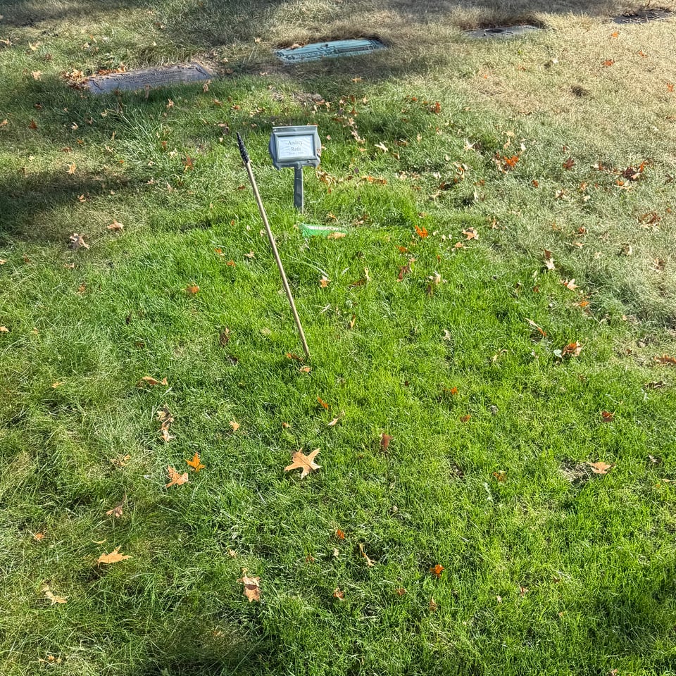 photo of temporary grave marker in a memorial park; the grass around that marker is greener than in the surrounding area