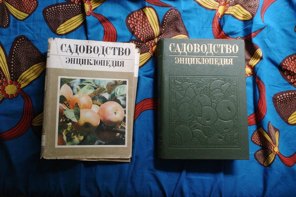 A book about apples, presumably, with Cyrillic writing, with and without dust jacket