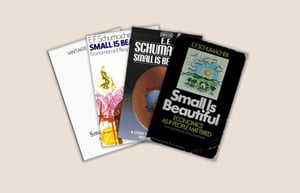Small is Beautiful Revisited 50 Years On - Schumacher Center for a New Economics
