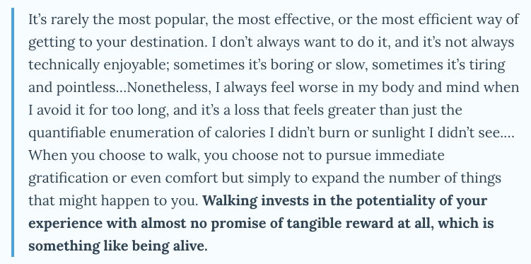 An excerpt from "Internet Princess," a newsletter by Rayne Fisher-Quann.