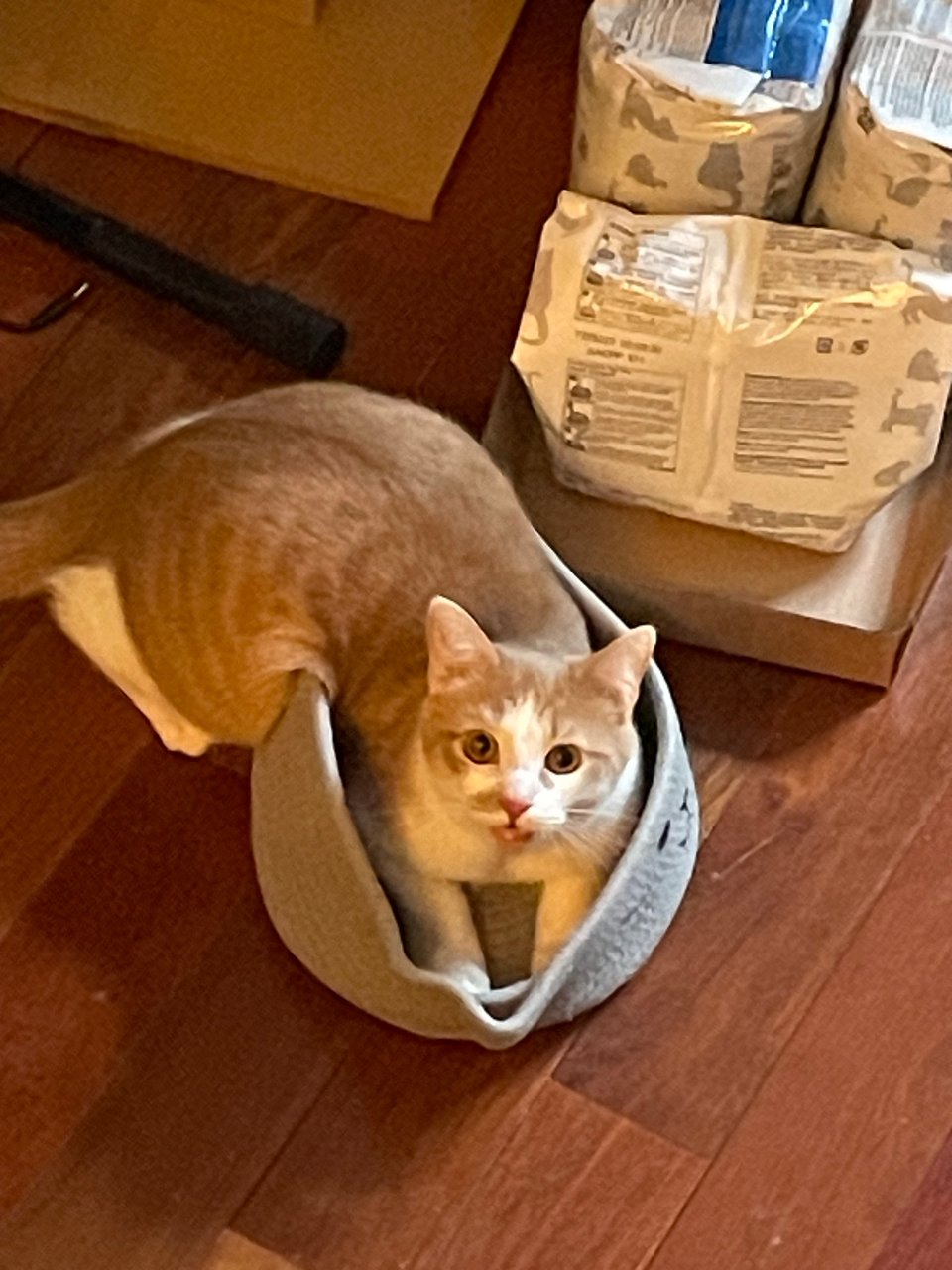 Timmy realizing he's getting bigger