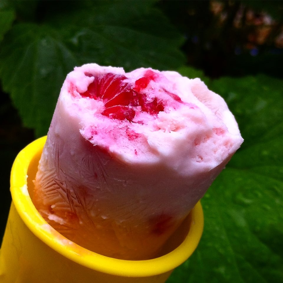 A pink frozen yoghurt lolly with raspberries in a bright yellow silicon mould against rain speckled deep green foliage. Image by Rowan Ambrose