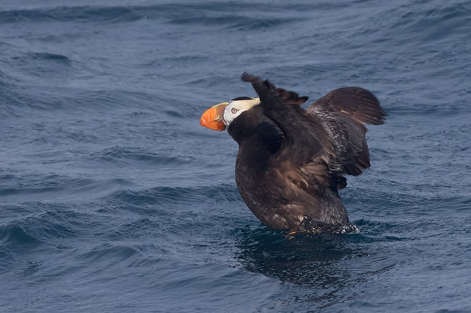 The Ed's Up - 11 Hours on a Boat