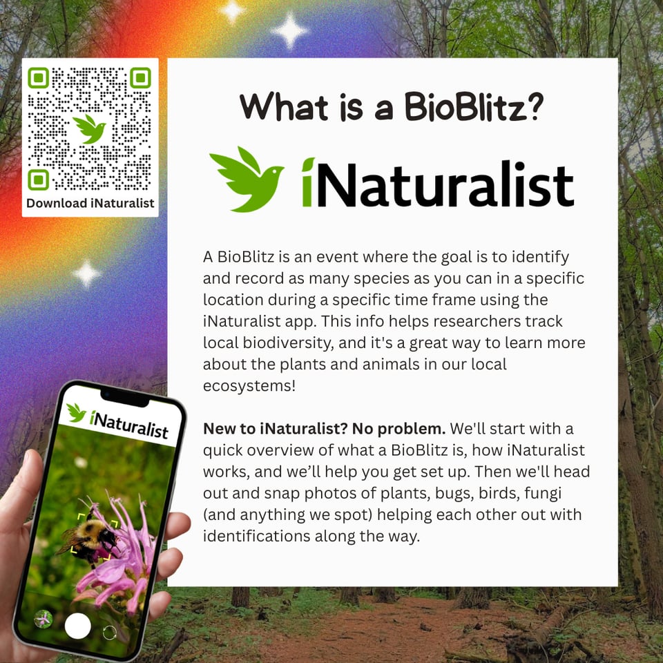 What is a BioBlitz?
A BioBlitz is an event where the goal is to identify and record as many species as you can in a specific location during a specific time frame using the iNaturalist app. This info helps researchers track local biodiversity, and it's a great way to learn more about the plants and animals in our local ecosystems!
New to iNaturalist? No problem. We'll start with a quick overview of what a BioBlitz is, how iNaturalist works, and we'll help you get set up. Then we'll head out and snap photos of plants, bugs, birds, fungi (and anything we spot) helping each other out with identifications along the way.
