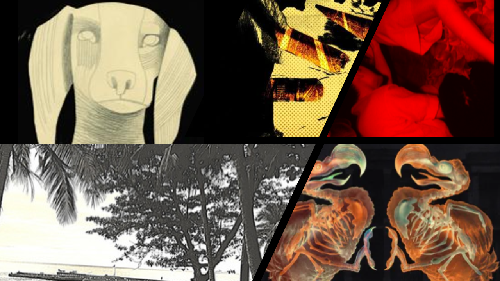 A collagr of images related to the stories featured in this months newsletter