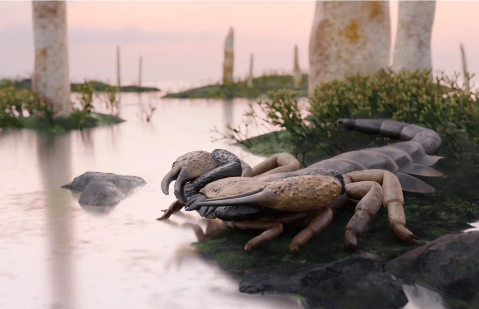 Get Over Here, There's a Giant Fossil Scorpion