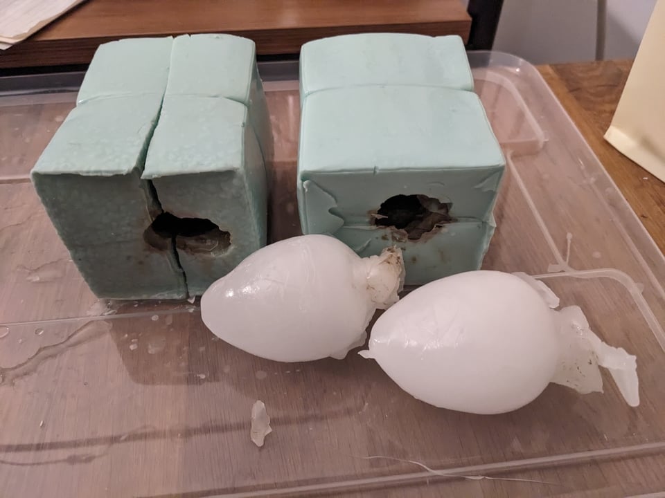 Two alginate molds with two wax pears made from the molds