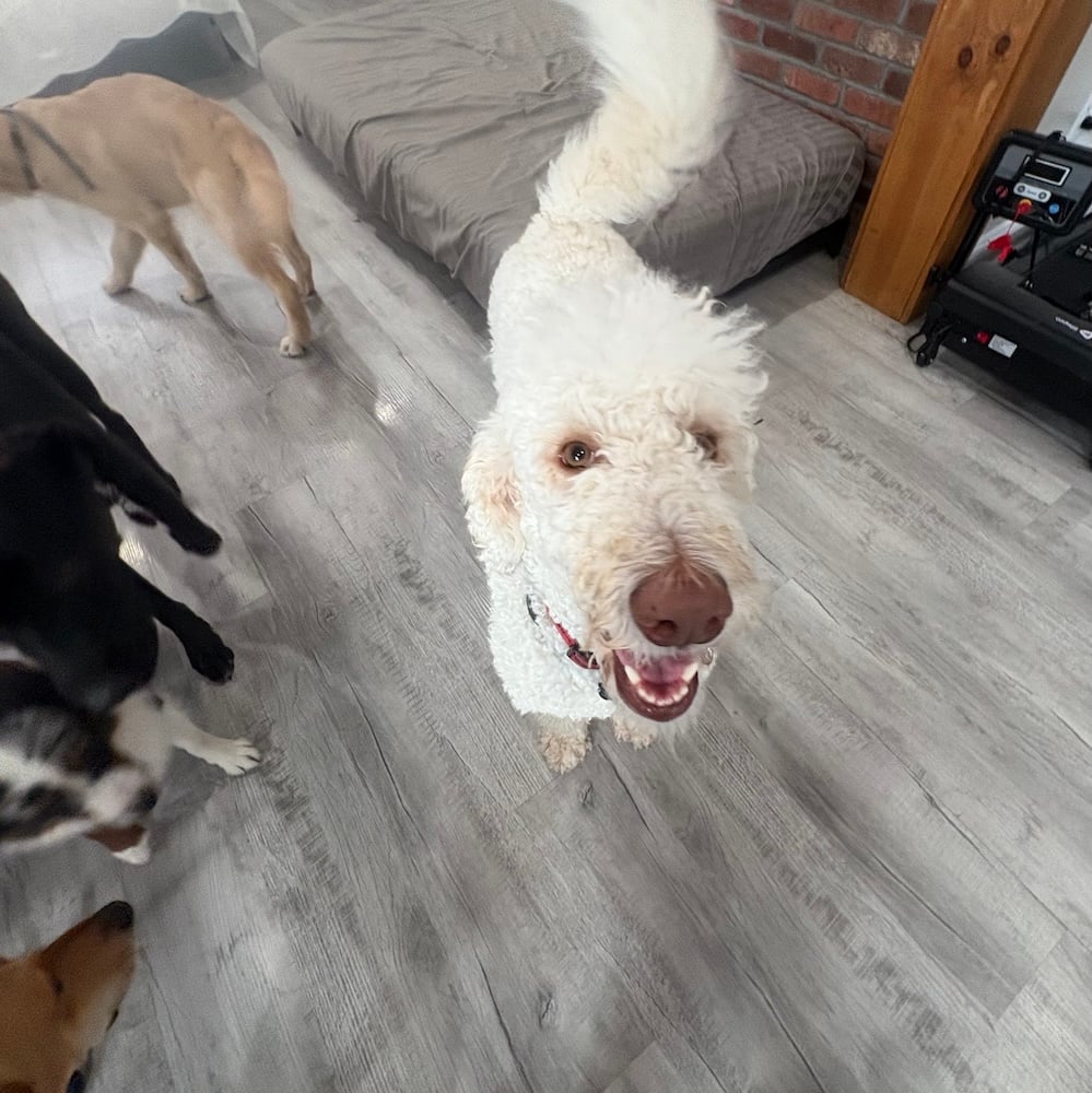 vverb's Plex Newsletter, January 2026